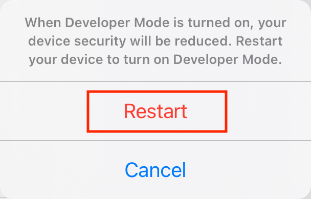 ipad-settings-privacy-security-developer-mode-enable-popup