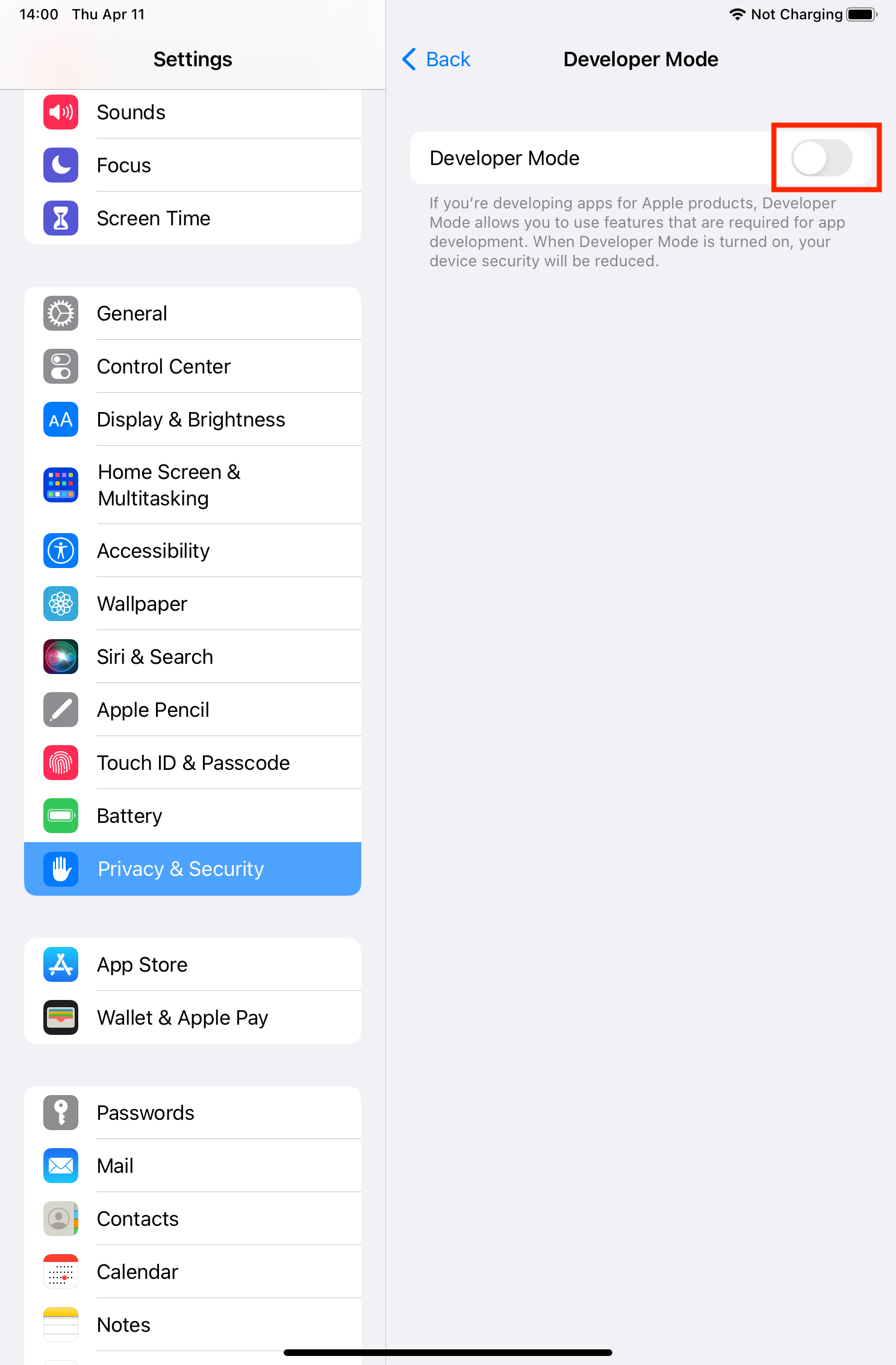ipad-settings-privacy-security-developer-mode